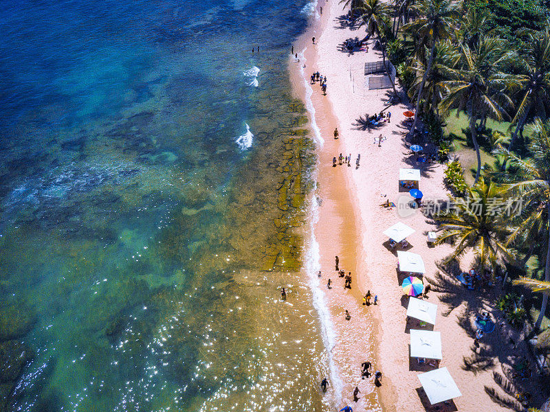 用白色阳伞俯瞰Praia do Forte海岸